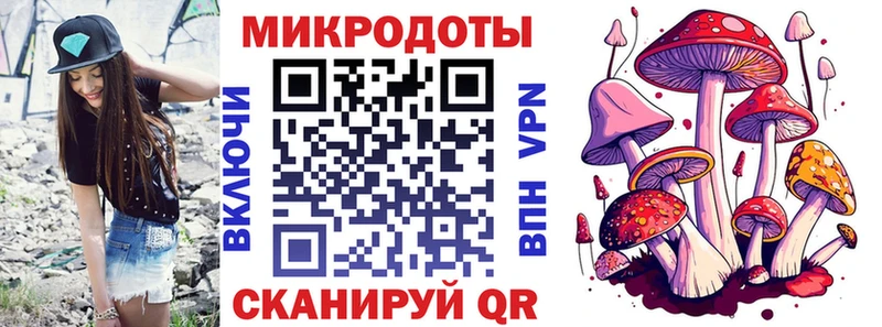 Купить где Игра Галлюциногенные грибы Magic Shrooms